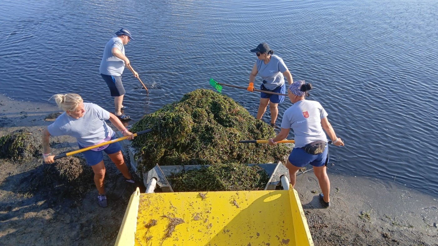La Comunidad retira más de 4.200 toneladas de biomasa del Mar Menor en siete meses