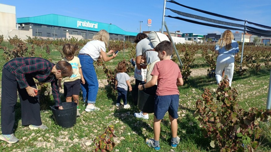 Vendimia en familia en Jumilla