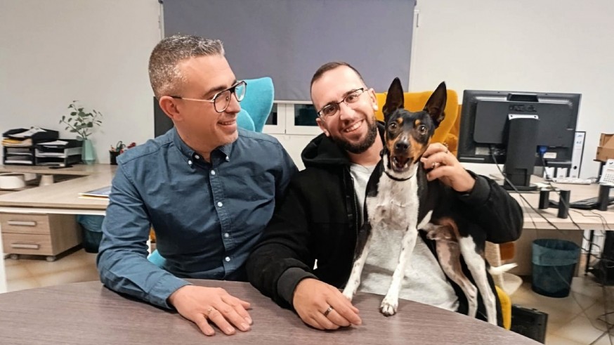 Iniciativa en Yecla para facilitar mobiliario para animales abandonados en protectoras