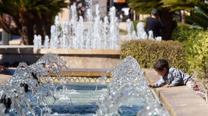 "Una 'Zona Verde' no es poner un árbol pequeñito y ya está"