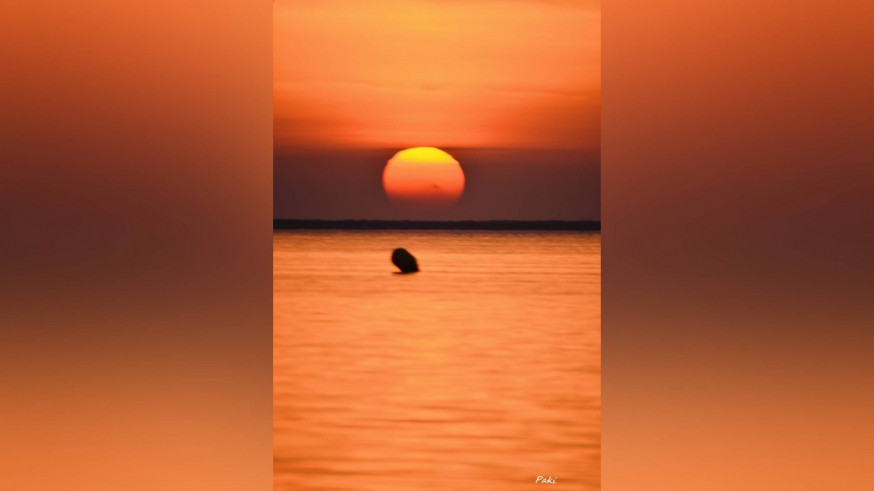 Cita con la Fotografía con Fructu Navarro