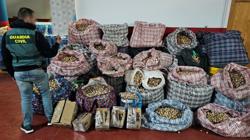 Detenidos tres hombres por robar y enviar amapola adormidera a España y Estados Unidos