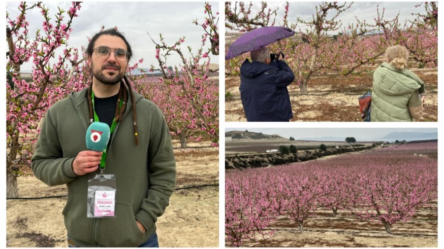 Cieza. La Ruta de la Floración bajo la lluvia