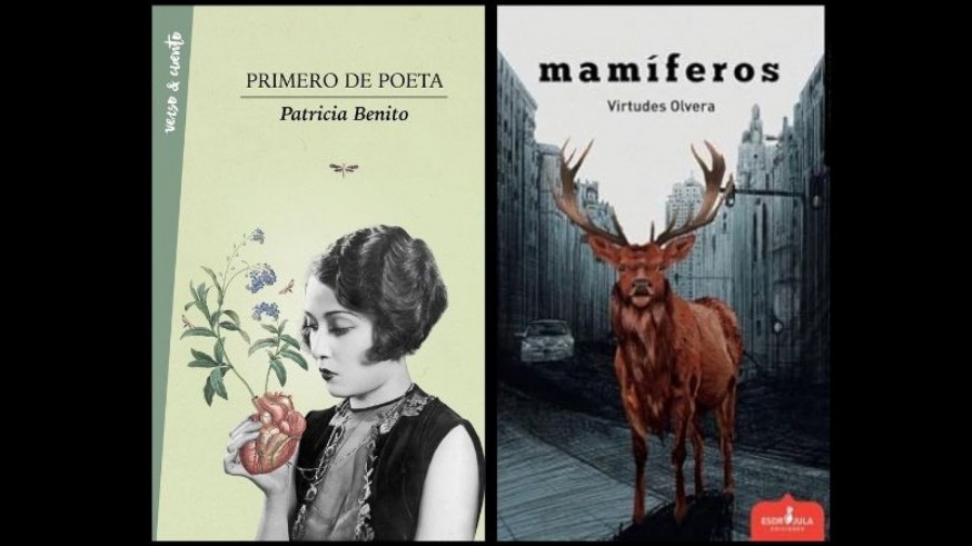La biblioteca desde tu sofá. Poesía y relatos desde Molina de Segura