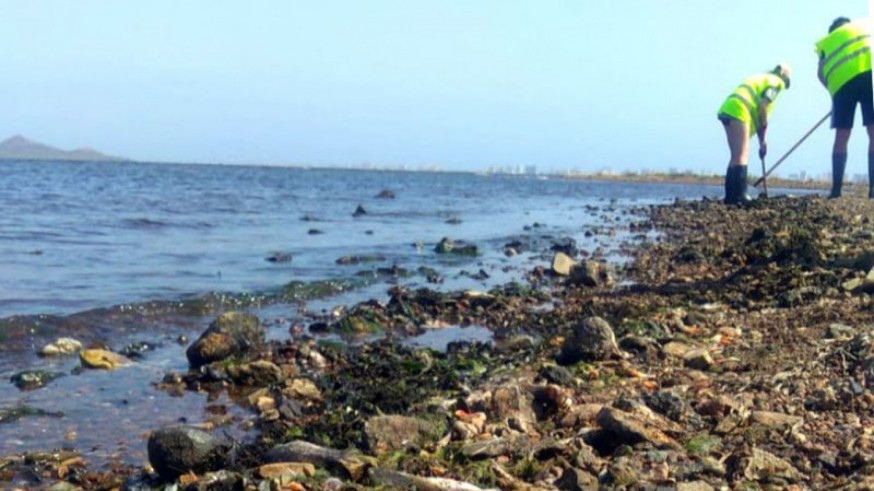Ecologistas en Acción asegura que la reforma de Ley planteada por el PP para el Mar Menor no soluciona nada