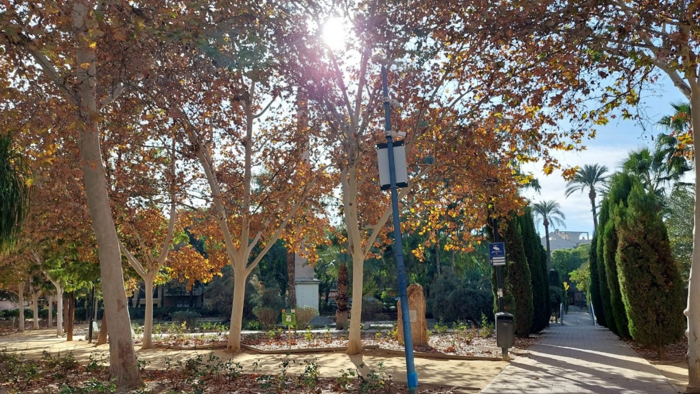 Temperaturas agradables para despedir el año y dar la bienvenida a 2024