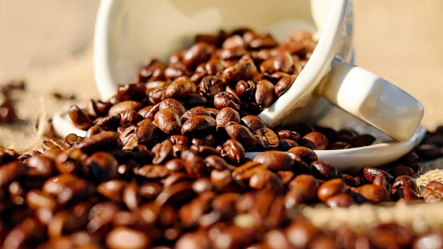 La Academia en Tarde Abierta. Hoy hablamos del café con Alberto Requena