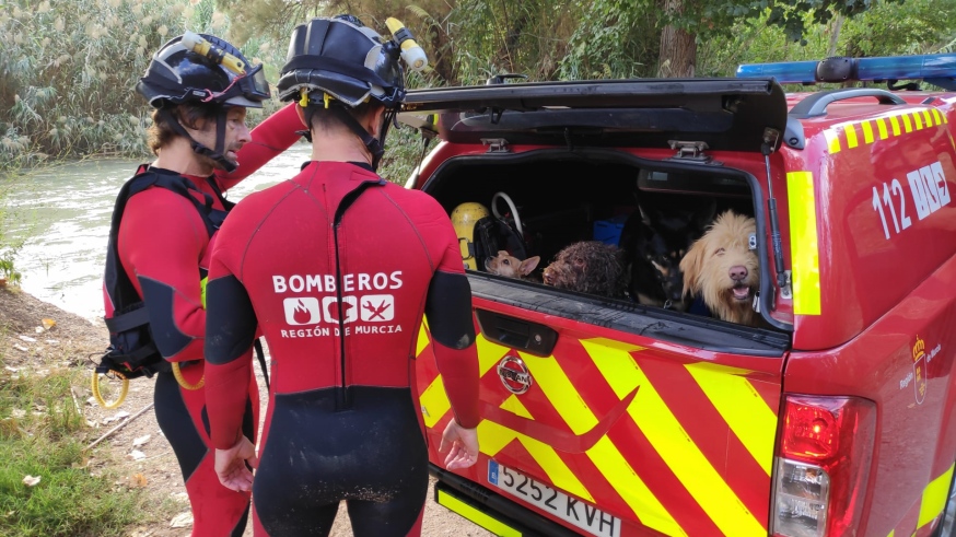 Perros en manos de los bomberos de Cieza después del rescate. Foto: 1-1-2 RM