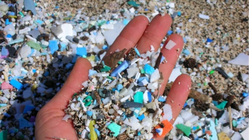 El Día Mundial de la Tierra pone el foco este año sobre el impacto que tienen los plásticos en los ecosistemas
