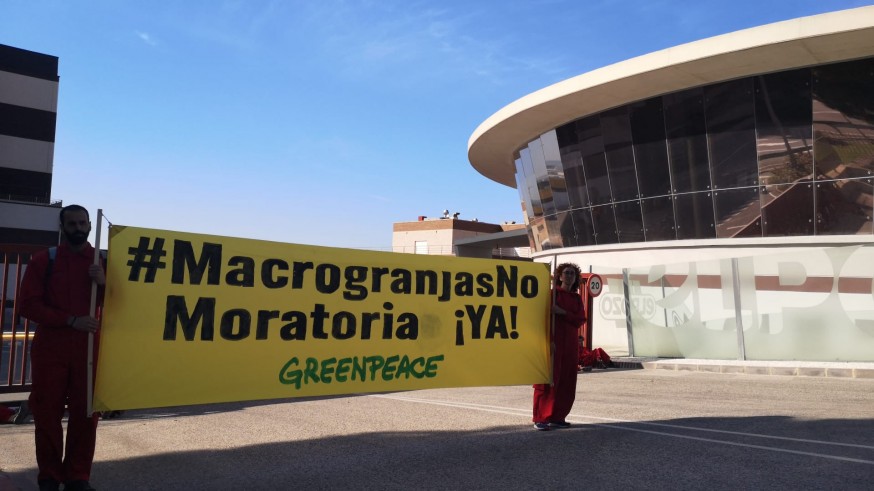 Greenpeace protesta en el El Pozo y pide que no abra nuevas explotaciones ganaderas y apoye una moratoria a la ganadería industrial