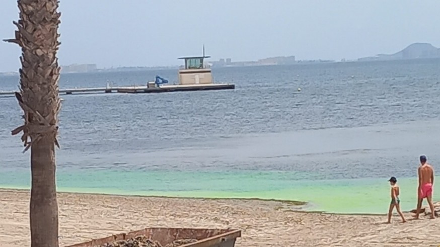El agua verde de una playa de Los Alcázares alarma a los bañistas, pero es inocua