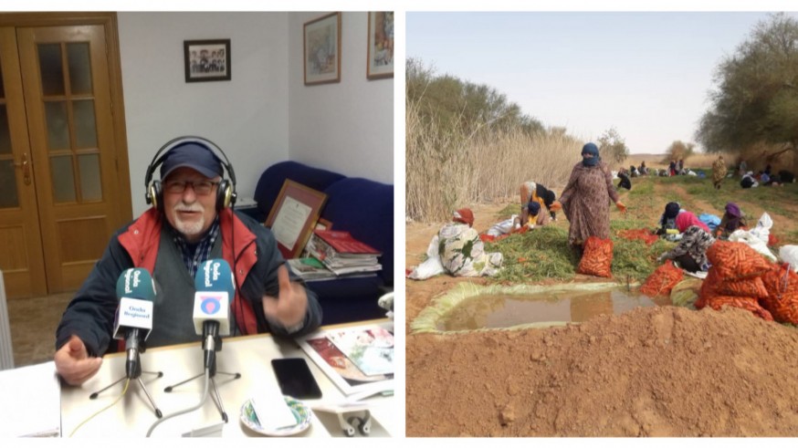 Antonio García y los resultados de las plantaciones con semillas de Lorca
