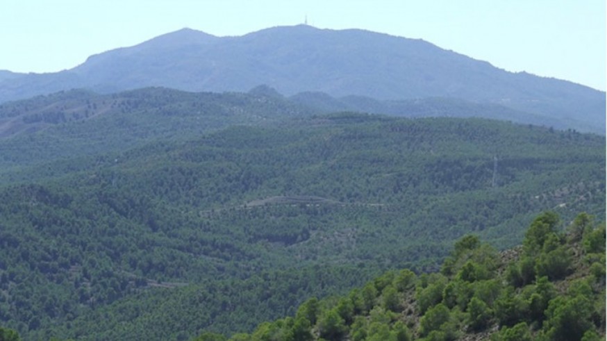 Denuncian la desprotección de El Valle y lo vinculan a intereses urbanísticos