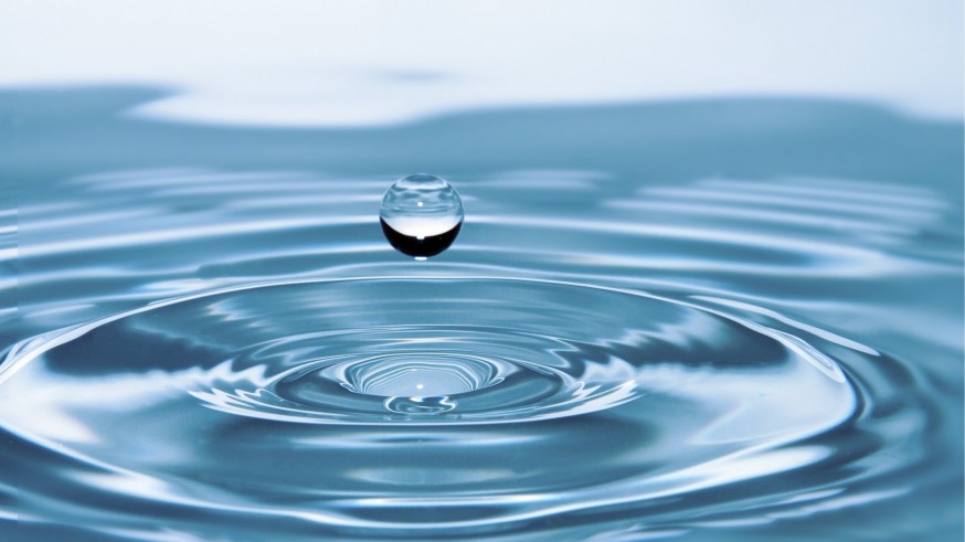 Fernando Valladares: “España toma decisiones insostenibles sobre el agua por intereses políticos y económicos”