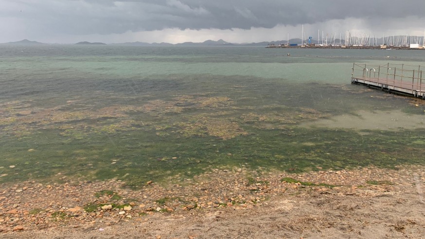 La Oficina Técnica del Mar Menor reclama medidas urgentes ante el riesgo de un nuevo episodio de colapso 
