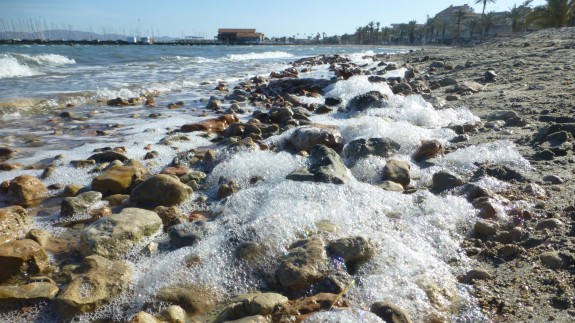 El Instituto de Oceanografía alerta del riesgo de un nuevo episodio de anoxia en el Mar Menor