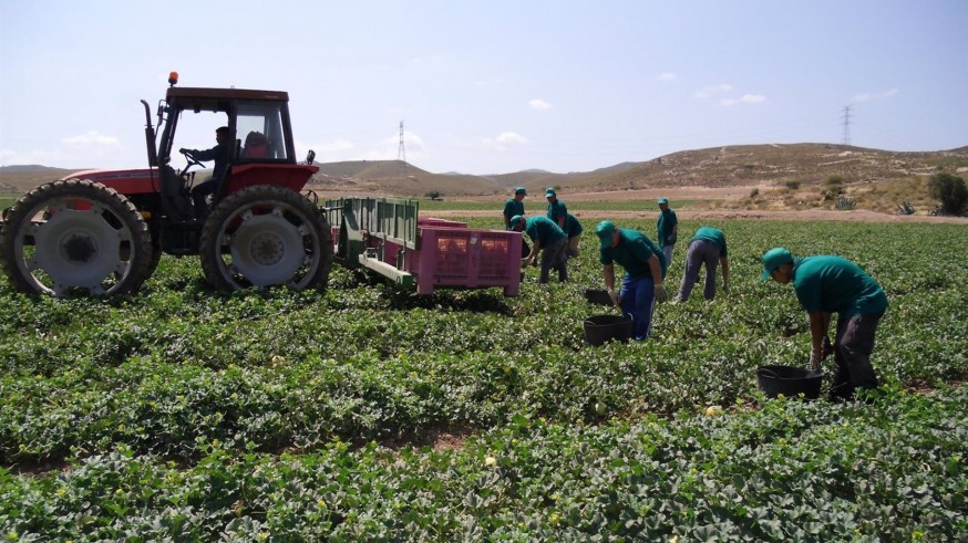 Crecen las denuncias a los empresarios por parte de los trabajadores del campo y la hostelería