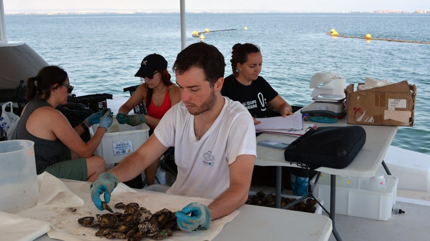 'La ostra plana es un agente natural capaz de extraer el exceso de nutrientes del Mar Menor' Marina Albentosa, investigadora IEO-CSIC
