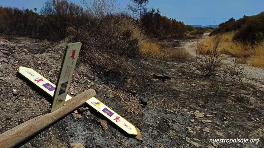 La plataforma por la Calidad del Paisaje de Lorca solicita al Ayuntamiento la puesta en valor del sendero verde del río