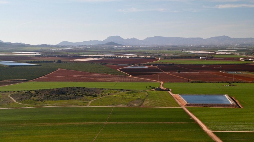 Ecologistas en Acción piden reducir el riego para hacer frente a la sequía en España