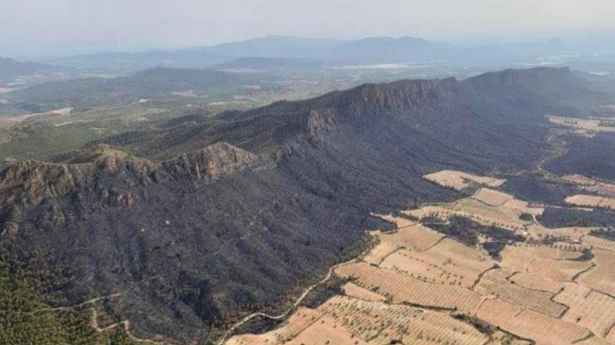 Extinguido el incendio de la Sierra Larga de Jumilla tras arrasar 410 hectáreas