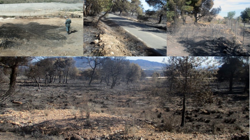 Una quema agrícola, origen del incendio que calcinó 400 hectáreas en Sierra Espuña