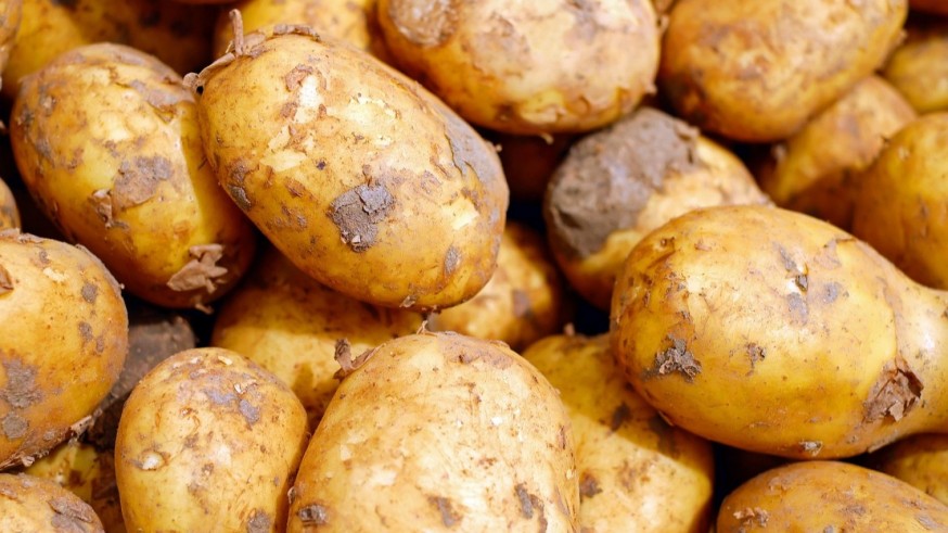 El BOE publica la Ley de Desperdicio Alimentario y medidas para regantes