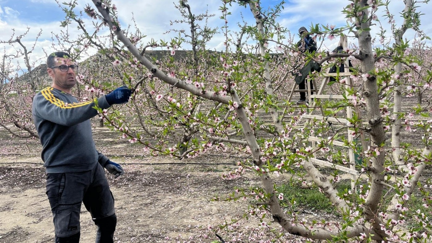 Miles de jornales perdidos tras diez días sin trabajo en el campo