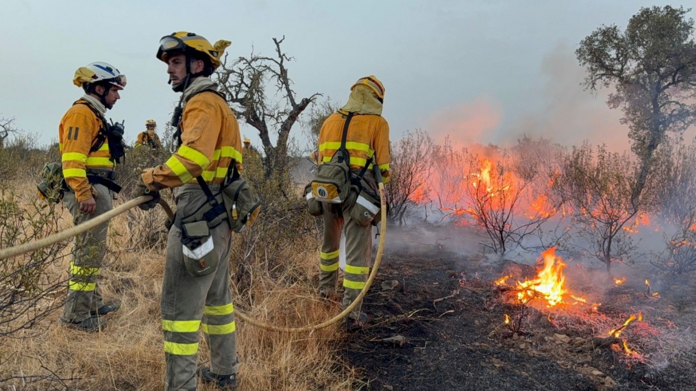 20 bomberos forestales de la Región viajan a Extremadura