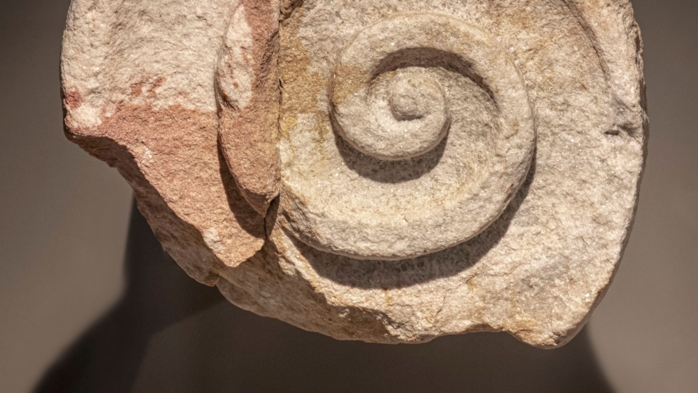 Museos que quieren unir en tiempos de división