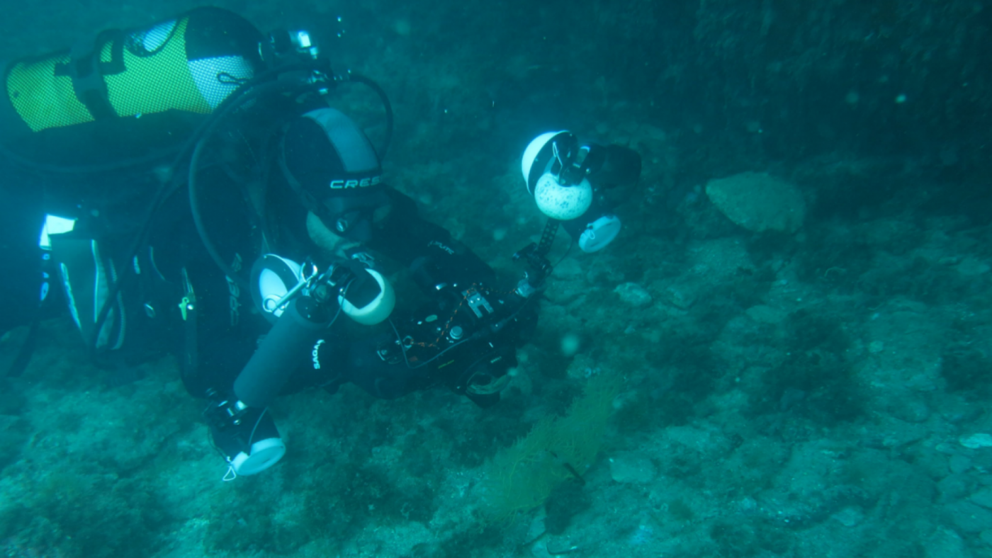 La plaga de alga asiática amenaza la pesca y el turismo en todo el Mediterráneo