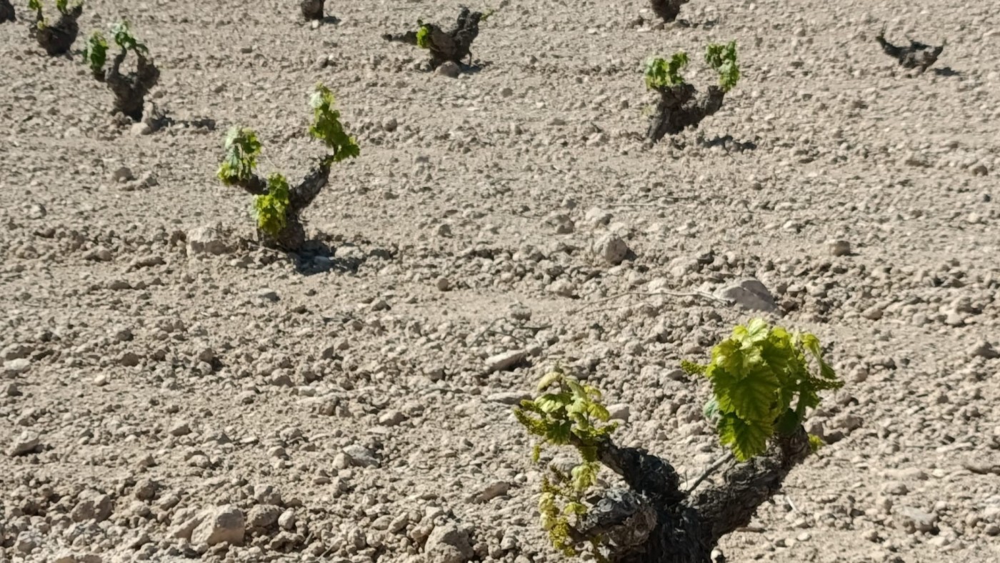 Los agricultores piden una fiscalidad ventajosa para garantizar el relevo generacional