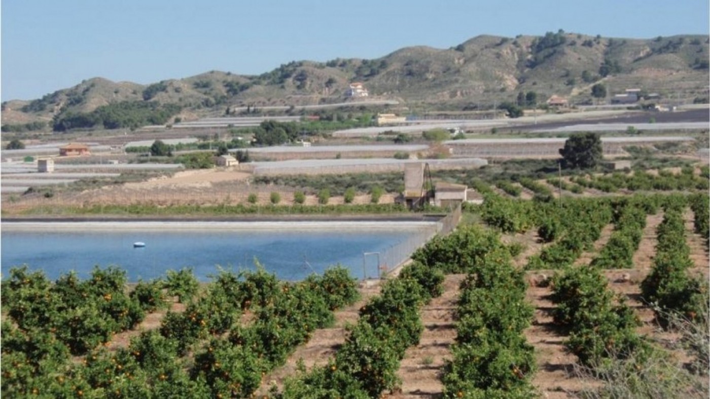 Los regantes del Guadalentín agotan las reservas de agua del Trasvase