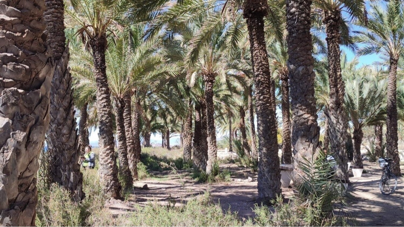 La alcaldesa de Cartagena garantiza la protección de El Palmeral de La Azohía