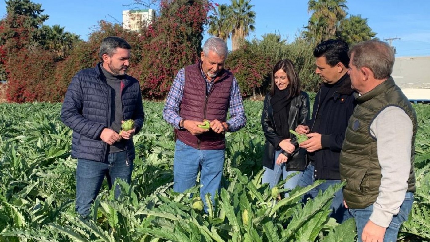 La Región de Murcia es la mayor exportadora de alcachofa, con un 30% del total nacional