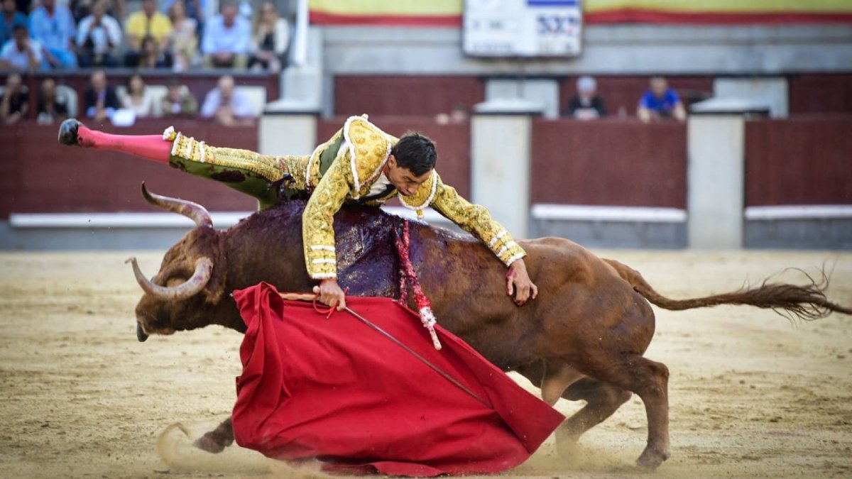 Comfort ear for Paco Ureña in Las Ventas with damaged collarbone