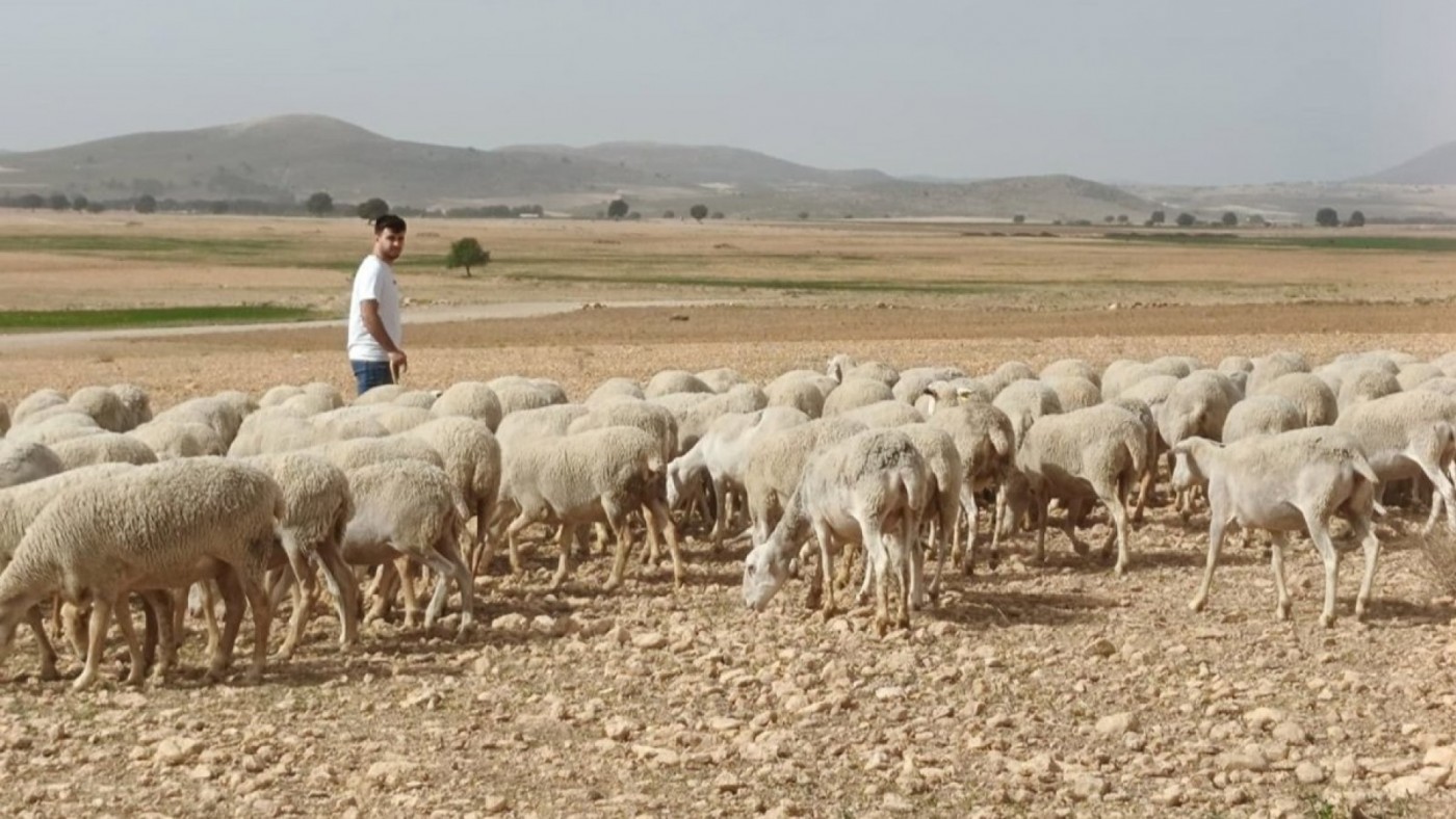 COAG, ASAJA y UPA participarán en la manifestación del campo europeo que tendrá lugar este jueves 18 de diciembre en Bruselas 
