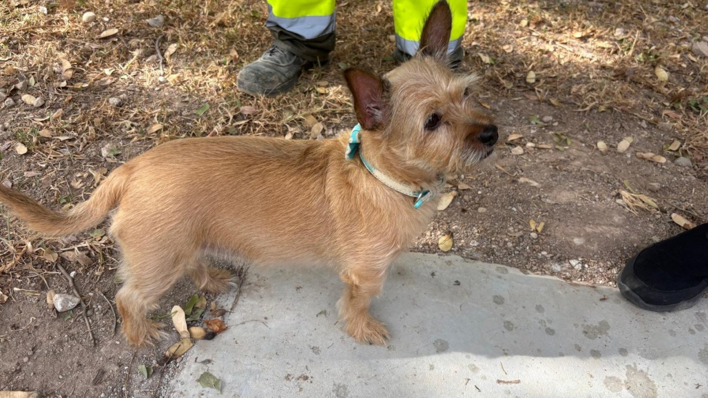 Espinardo estrena una de las mayores zonas caninas de Murcia