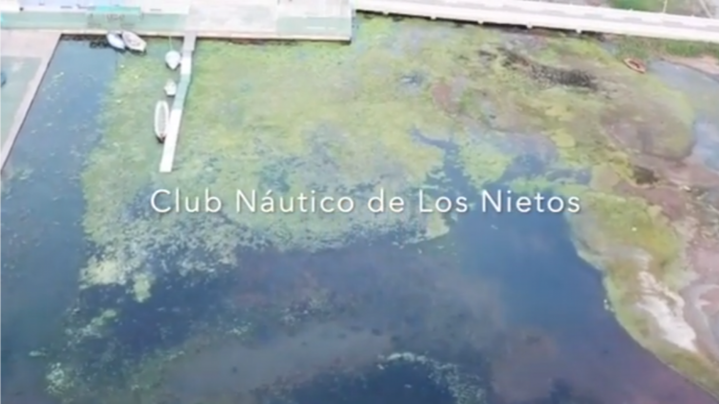 Denuncian el mal estado del Mar Menor en las inmediaciones del Club Náutico de Los Nietos