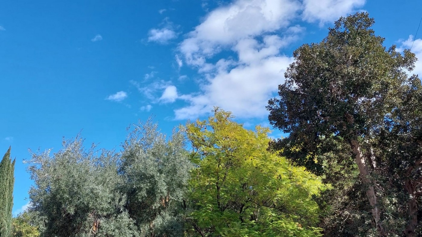 Fin de semana sin "sobresaltos" antes de una dana que dejará altas temperaturas en lugar de lluvias