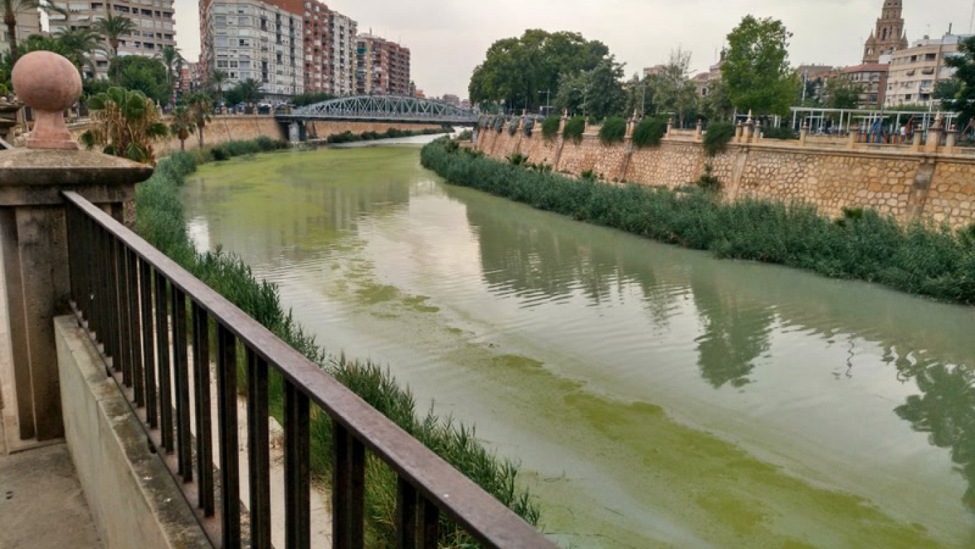 Río Segura a su paso por Murcia el pasado mes de agosto