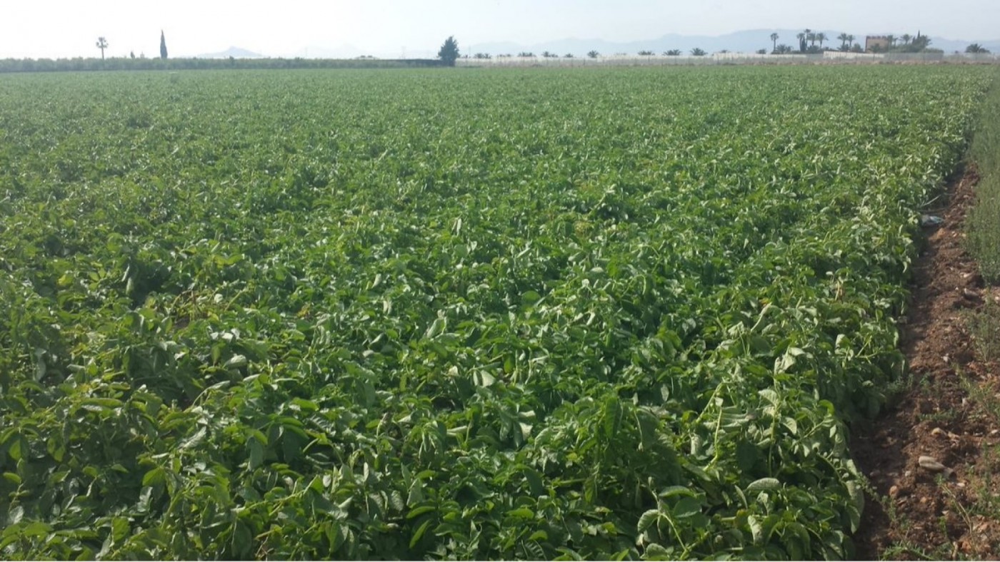 UPA exige agilizar el pago de ayudas agrarias ante el aumento de costes por la guerra de Irán