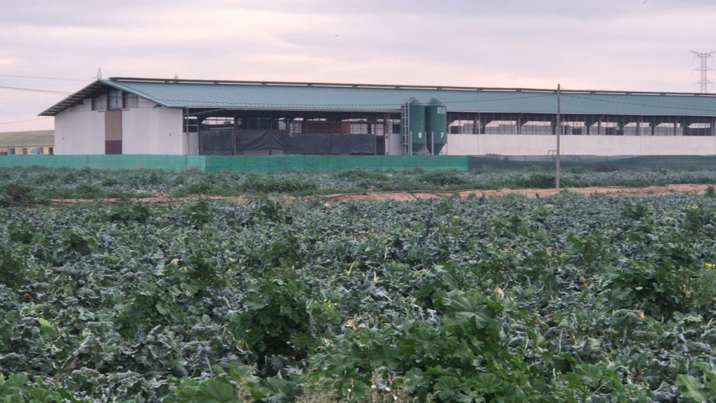 La Comunidad adelanta el pago de los anticipos de la PAC a 6.000 agricultores