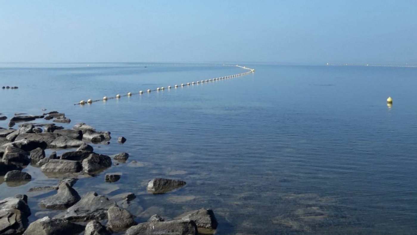 Ruzafa: "Es clave la retirada de algas para mantener el equilibrio del Mar Menor"