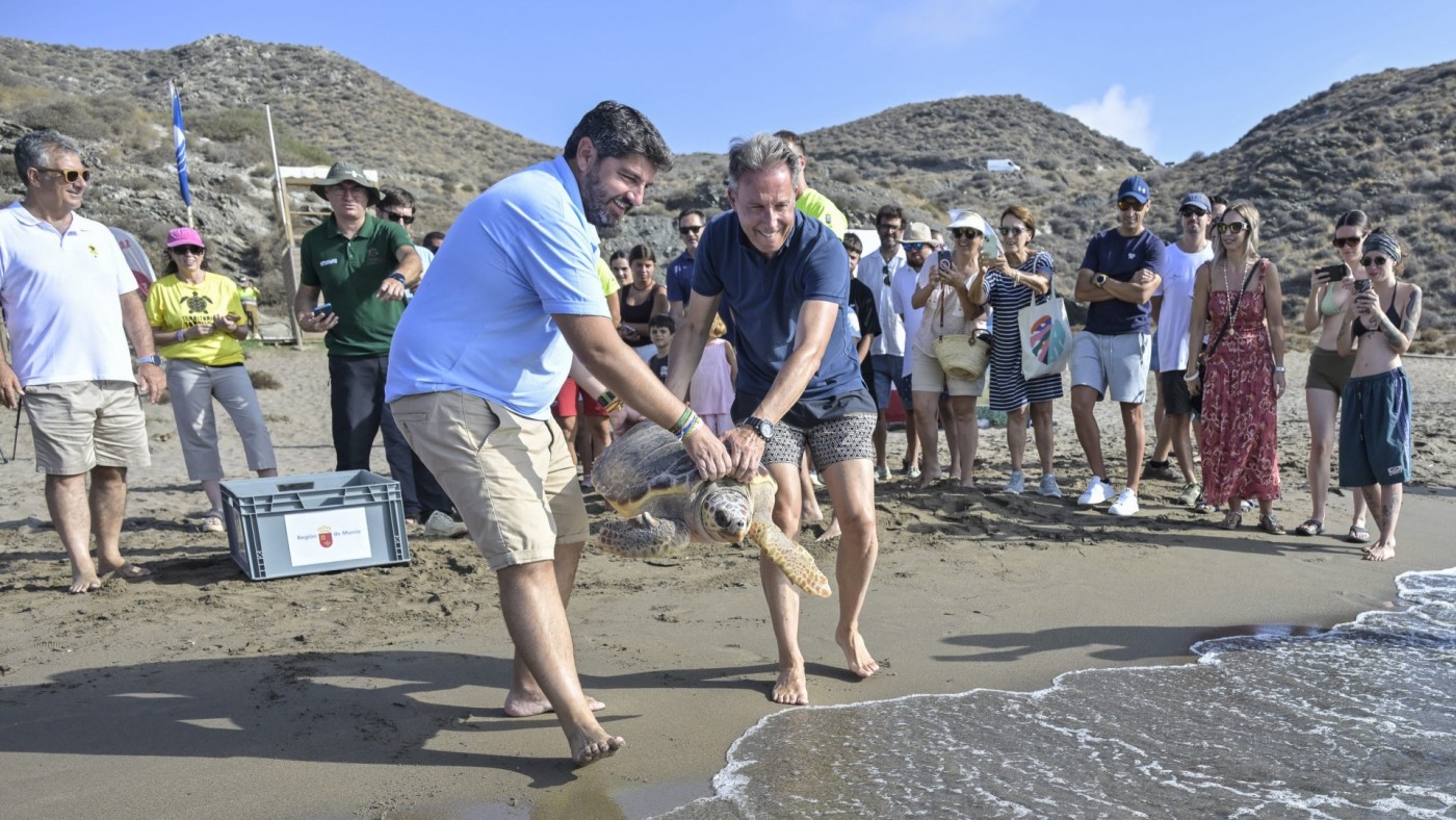 Liberan dos tortugas bobas recuperadas de graves lesiones en Lorca