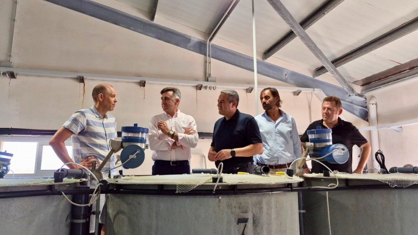 El IMIDA desarrolla un pienso con restos de cerveza para criar mújol