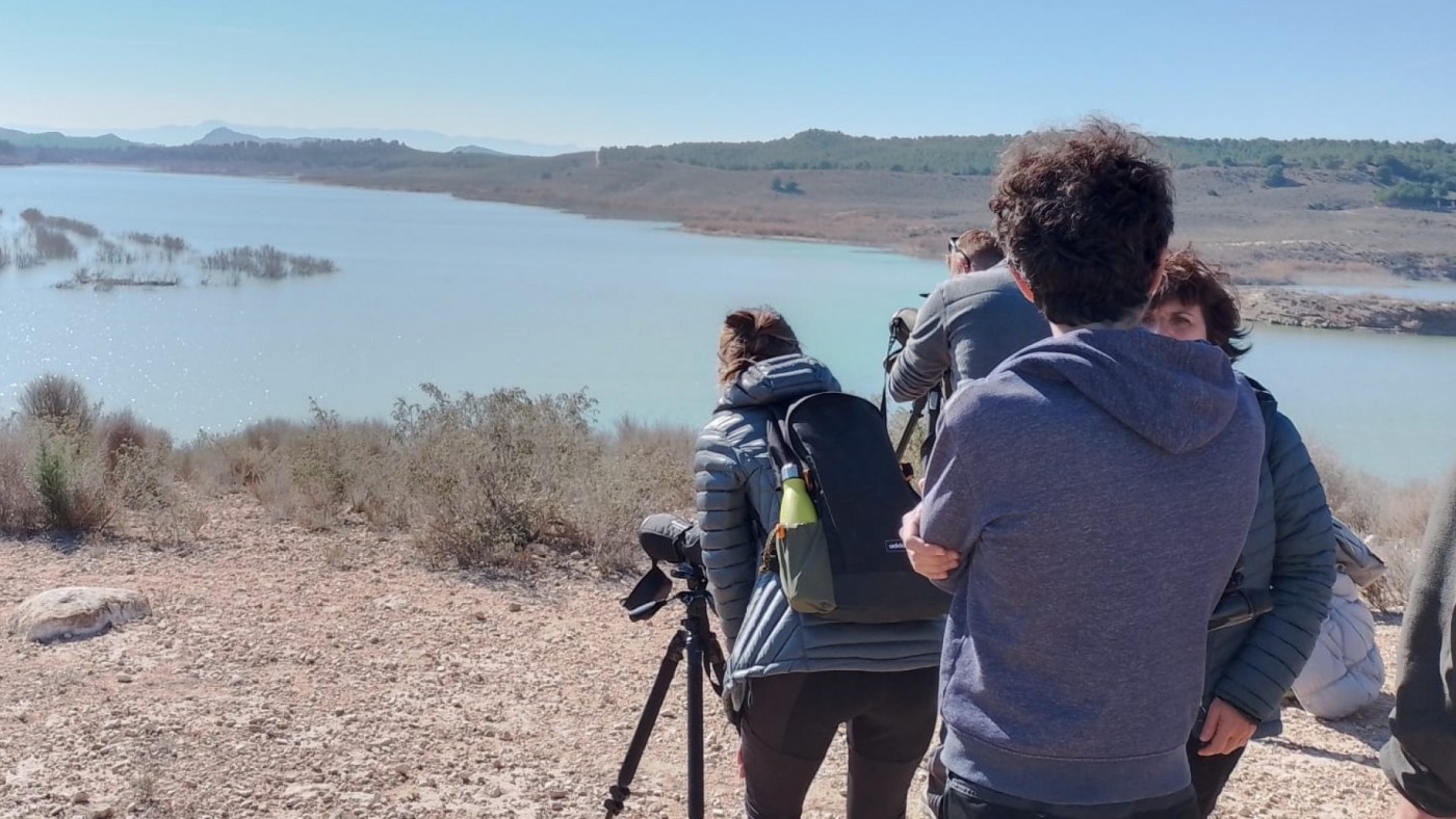 Ecologistas en Acción advierte que retirar la biomasa del Mar Menor es "caro e ineficaz"