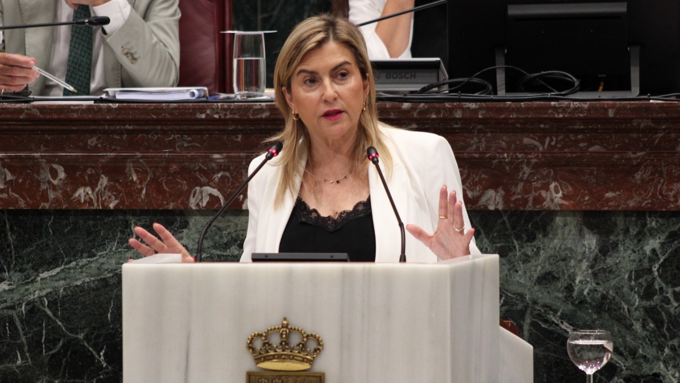 El PSOE pide que se reanude la actividad parlamentaria en la Asamblea Regional paralizada desde el verano