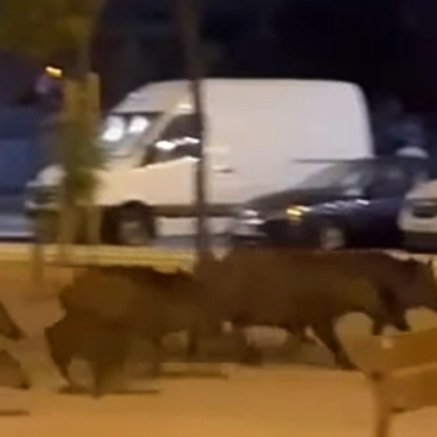 TARDE ABIERTA