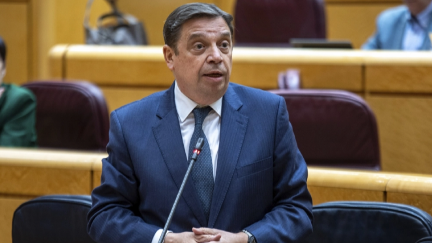 Planas defiende las condiciones que los agricultores piden en los acuerdos comerciales de UE con terceros países